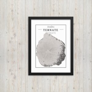 hoogtekaart-ternate-luxe-ingelijste-poster-asalku