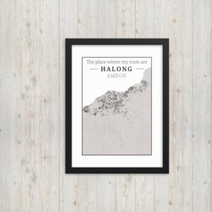 hoogtekaart-halong-luxe-ingelijste-poster-roots